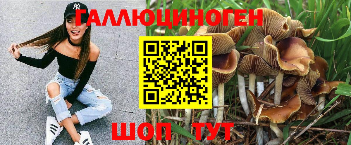 Галлюциногенные грибы MAGIC MUSHROOMS Кулебаки