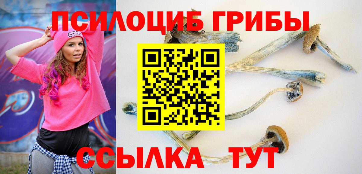 Кулебаки  Галлюциногенные грибы MAGIC MUSHROOMS  Галлюциногенные грибы прущие грибы  Вход с VPN 